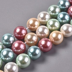 Couleur Mélangete Fils de perles de coquille galvanisées, ronde, couleur mixte, 10mm, Trou: 0.8mm, Environ 16 pcs/chapelet, 6.5 pouce (16.5 cm)