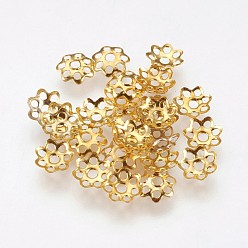 Golden Multi-Petal Iron Bead Caps, Flower, Golden, 6x1.5mm, Hole: 1mm