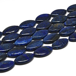 Lapislázuli Hilos de cuentas de lapislázuli natural, ojo del caballo, 30~31x18~18.5x6.5~7 mm, agujero: 1 mm, sobre 13 unidades / cadena, 15.35'' (39 cm)