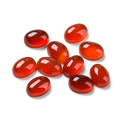 Carnelian Gemstone Cabochons, Natural Red Agate, 8x6x3mm