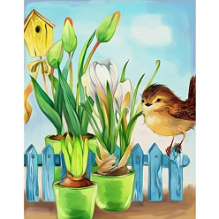 Colorful DIY Birds Theme Diamond Painting Kits, Including Canvas, Resin Rhinestones, Diamond Sticky Pen, Tray Plate and Glue Clay, Colorful, 400x300mm