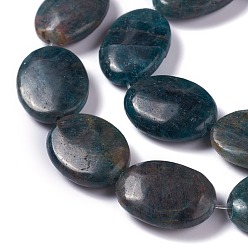 Apatite Natural Apatite Beads Strands, Oval, 25x18x7~8mm, Hole: 0.8mm, about 16pcs/strand, 15.55 inch(39.5cm)