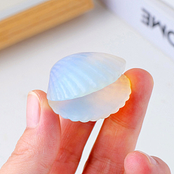 Opalite Opalite Display Decorations, for Home Office Desk, Shell Shape, 30~35mm