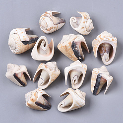 Floral Blanca Cuentas de concha de caracol naturales, perlas sin perforar / sin orificios, blanco floral, 30~37x21~27x19~29 mm