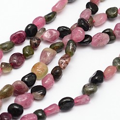 Tourmaline Nuggets Natural Tourmaline Beads Strands, Tumbled Stone, 5~8x5~8mm, Hole: 1mm, about 15.5 inch