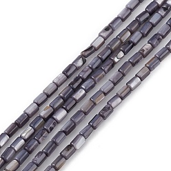 Slate Gray Natural Freshwater Shell Dyed Beads Strands, Column, Slate Gray, 4.8x3mm, Hole: 0.8mm, about 78pcs/strand, 14.96''(38cm)