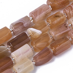 Agate De Botswana Brins de perles d'agate du Botswana orange synthétique, colonne, 10~11x5~8mm, Trou: 1mm, Environ 15~17 pcs/chapelet, 7.48 pouces ~ 7.87 pouces (19~20 cm)