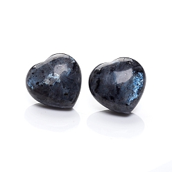 Larvikite Larvikite naturelle cœur amour paume inquiétude pierre, cristal de guérison, 25~25.5x25.5x12mm