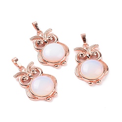 Opalite Opalite Pendants, Owl Charms, with Rose Gold Tone Rack Plating Brass Findings, 35x23.5x8~9mm, Hole: 8x5mm