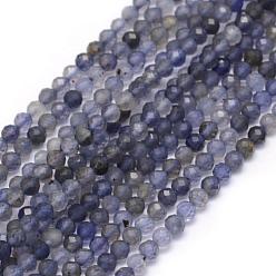 Iolite Natural Cordierite/Iolite/Dichroite Beads Strands, Faceted, Round, 2mm, Hole: 0.5mm, about 162pcs/strand, 15.35 inch(39cm)