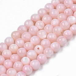 Pink Natural Freshwater Shell Beads Strands, Dyed, Round, Pink, 4mm, Hole: 0.8mm, about 97~99pcs/strand, 14.88 inch~15.16 inch(37.8~38.5cm)