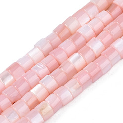 Pink Eau douce naturelle de coquillage perles brins, teint, colonne, rose, 4x2.5mm, Trou: 0.5mm, Environ 131~134 pcs/chapelet, 15.16~15.35 pouce (38.5~39 cm)