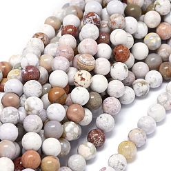 Jaspe Océan Naturelles jaspe océan brins de perles, ronde, 8~8.5mm, Trou: 1mm, Environ 46~49 pcs/chapelet, 15.55 pouce (39.5 cm)