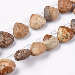 Jaspe Image Image Naturel jaspe perles brins, perles percées, facette, larme, 10~10.5x10~10.5x5mm, Trou: 0.6mm, Environ 39 pcs/chapelet, 15.94 pouce (40.5 cm)