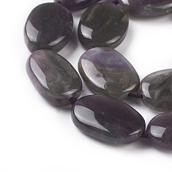 Natural Agate Natural Purple Agate Beads Strands, Oval, 21~26x14~17x6~9mm, Hole: 1mm, about 17pcs/strand, 17.1 inch(43.5cm)