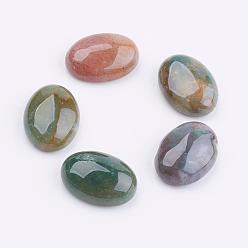 Indian Agate Natural Indian Agate Cabochons, Oval, 18x13x6mm