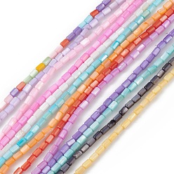Mixed Color Natural Freshwater Shell Dyed Beads Strands, Column, Mixed Color, 4.8x3mm, Hole: 0.8mm, about 78pcs/strand, 14.96''(38cm)