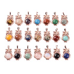 Mixed Stone Natural & Synthetic Mixed Gemstone Pendants, Owl Charms, with Rose Gold Tone Rack Plating Brass Findings, 35x23.5x8~9mm, Hole: 8x5mm