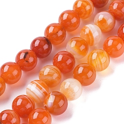 Coral Natural Striped Agate/Banded Agate Beads Strands, Dyed & Heated, Round, Coral, 10mm, Hole: 1.2mm, about 37pcs/strand, 14.65 inch(37.2cm)