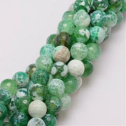 Medium Sea Green Natural Fire Crackle Agate Bead Strands, Dyed, Faceted, Round, Medium Sea Green, 10mm, Hole: 1.5mm, about 38pcs/strand, 14 inch