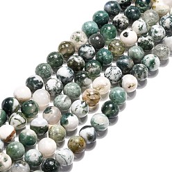 Tree Agate Natural Tree Agate Beads Strands,  Round, Medium Sea Green, 8mm, Hole: 1mm