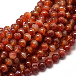 Cornaline Brins de perles rondes en cornaline naturelle, teint, 8mm, Trou: 1mm, Environ 49 pcs/chapelet, 16 pouce