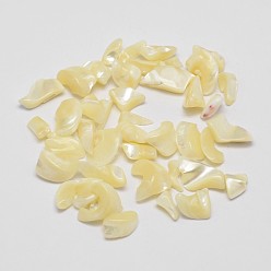 Light Goldenrod Yellow No Hole Natural Trochid Shell/Trochus Shell Chip Beads, Shell Shards, Light Goldenrod Yellow, 5~12x3~5mm