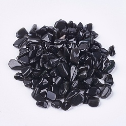 Черный Камень Натуральный черный камень чип бисер, упавший камень, нет отверстий / незавершенного, 5.5~17.5x4~10x1.5~6.5 мм