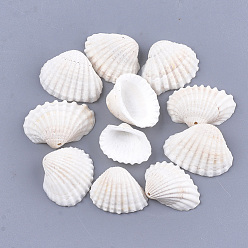 White Clam Shell Pendants, White, 15~20x19~28x6~9mm, Hole: 1mm, about 315pcs/500g