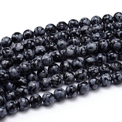 Snowflake Obsidian Natural Snowflake Obsidian Round Bead Strands, 10mm, Hole: 1mm, about 36pcs/strand, 15 inch