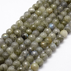 Labradorite Brins de perles de labradorite naturelles facettées, ronde, 6mm, Trou: 1mm, Environ 62 pcs/chapelet, 14.8 pouce