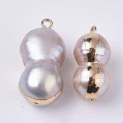 Chardon Pendentifs de perles d'eau douce de culture naturelle, avec demi-trou et boucle en laiton, bord plaqué, calebasse, or, chardon, 19.5~26x9~14.5x8~12mm, Trou: 1.8mm, demi-trou: 0.9 mm