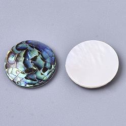Colorful Natural Abalone Shell/Paua Shell Cabochons, with Freshwater Shell, Flat Round, Colorful, 16x3mm