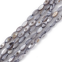 Gris Ardoise Brins de perles d'eau douce naturelles teintes en coquillage, oeil de cheval, gris ardoise, 9.5x5mm, Trou: 0.8mm, Environ 41 pcs/chapelet, 14.96'' (38 cm)