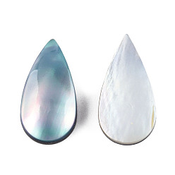 Sky Blue Natural Turbo Cornulus/Top Shells Cabochons, with Acrylic and Shell, Dyed, Teardrop, Sky Blue, 21x10.5x4~4.5mm
