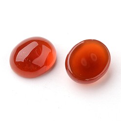 Rouge Grade a cabochons ovales en agate rouge naturelle, teint, rouge, 10x8x4.5mm