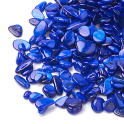 Blue Shell Beads, No Hole Beads, Dyed, Chip, Blue, 1~15x1~15x0.5~5mm, about 450g/bag