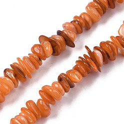 Coral Natural Freshwater Shell Beads Strands, Dyed, Chips, Coral, 0.4~4x6.5~20x4.5~8.5mm, Hole: 0.7~0.8mm, about 301~340pcs/strand, 30.94 inch~32.36 inch(78.6cm~82.2cm)