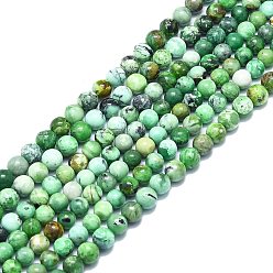 Natural Gemstone Natural Variscite Beads Strands, Round, 6mm, Hole: 0.8mm, about 67pcs/strand, 15.55 inch(39.5cm)