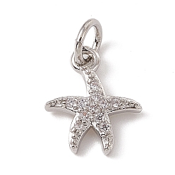 Platine Micro cuivres ouvrent charmes de zircons, avec anneau de saut, charme étoile de mer, platine, 12x10x2mm, Trou: 3mm