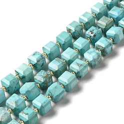 Turquoise Chapelets de perles howlite naturelles , teint, facette, cube, turquoise, 8x8x8mm, Trou: 1mm, Environ 40 pcs/chapelet, 15.24 pouce (38.7 cm)