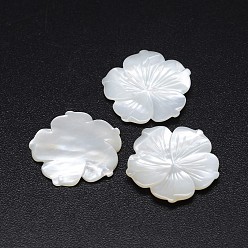 Coquillage Blanc Cabochons de fleurs en nacre blanche, 23~24x2~3mm