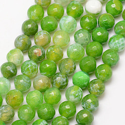 Lawn Green Natural Fire Crackle Agate Bead Strands, Round, Grade A, Faceted, Dyed & Heated, Lawn Green, 8mm, Hole: 1mm, about 47pcs/strand, 15 inch
