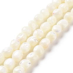 Coquillage De Mer Naturelles trochides coquille brins de perles, ronde, couleur de coquillage, 8~9x7.5~9.5x7.5~9.5mm, Trou: 0.8mm, Environ 45 pcs/chapelet, 15.35~15.55 pouce (39~39.5 cm)