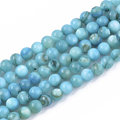 Light Blue Freshwater Shell Beads Strands, Dyed, Round, Light Blue, 4mm, Hole: 0.8mm, about 95pcs/strand, 14.96 inch(38cm)