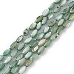 Vert Brins de perles d'eau douce naturelles teintes en coquillage, oeil de cheval, verte, 9.5x5mm, Trou: 0.8mm, Environ 41 pcs/chapelet, 14.96'' (38 cm)