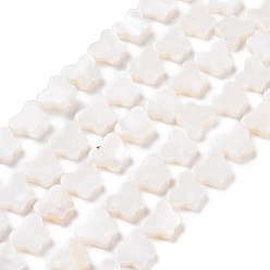 Белый Естественных пресноводных оболочки бисер нитей, окрашенные, бабочка, белые, 8x10x2.5 мм, отверстие : 0.8 мм, около 40 шт / нитка, 15.39'' (39.1 см)