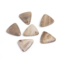Picture Jasper Natural Picture Jasper Beads, Top Drilled Beads, Triangle, 28.5x25~25.5x5.5~6mm, Hole: 1mm