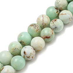 Opale Verte Naturel, vert opale brins de perles, teint, ronde, 10mm, Trou: 0.8mm, Environ 39 pcs/chapelet, 14.96'' (38 cm)
