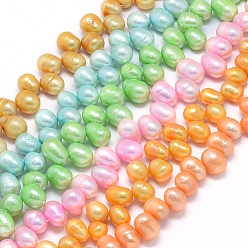 Color mezclado Hebras de perlas de agua dulce cultivadas naturales teñidas, patata, color mezclado, 11~12x8~9 mm, agujero: 0.8 mm, sobre 58 unidades / cadena, 14.9 pulgada ~ 15.7 pulgada (38~40 cm)